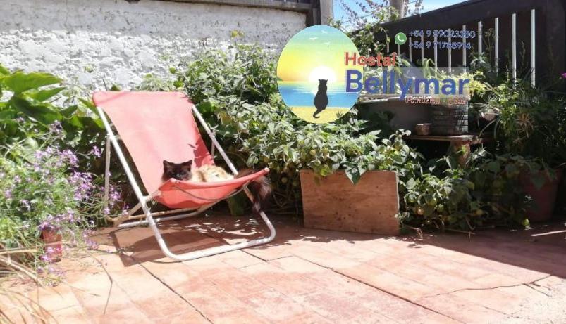 Hostal Bellymar Pichilemu Esterno foto
